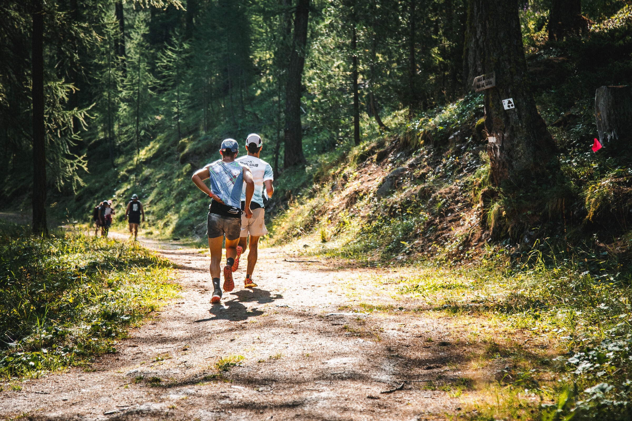 Trail des Étoiles, août 2026
